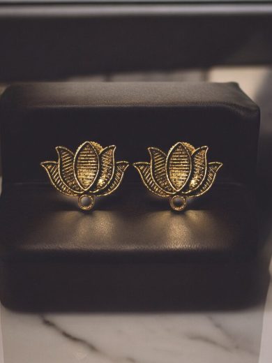 Sabis Stud- Lotus 01
