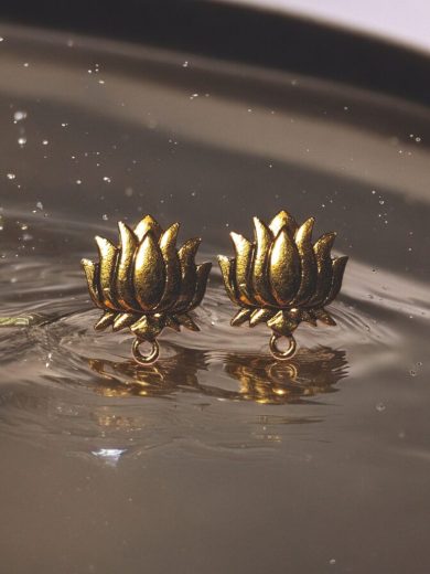 Sabis Stud - Lotus 02