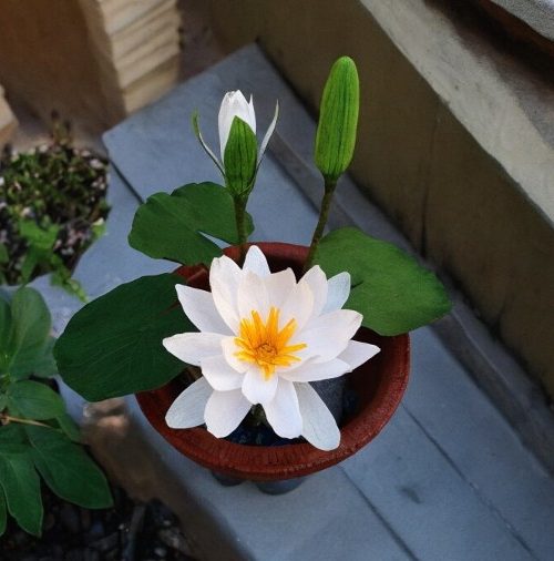 Paper Flowers